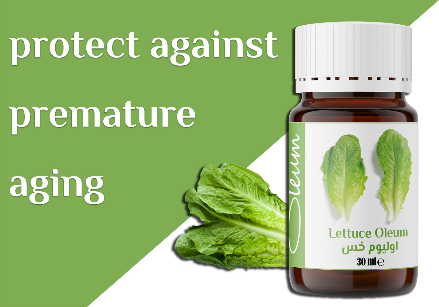 Oleum Lettuce Seed Oil -100% Pure Carrier Oil for Skin and Hair