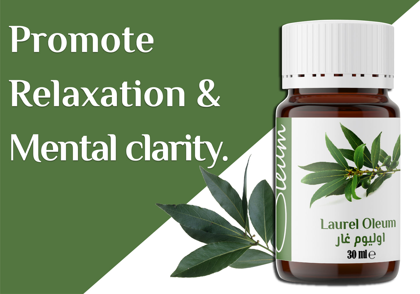 Oleum Laurel Oil 100% Pure- Steam Distilled from Bay Leaves - Rich in Antioxidants and Anti-Inflammatory Compounds