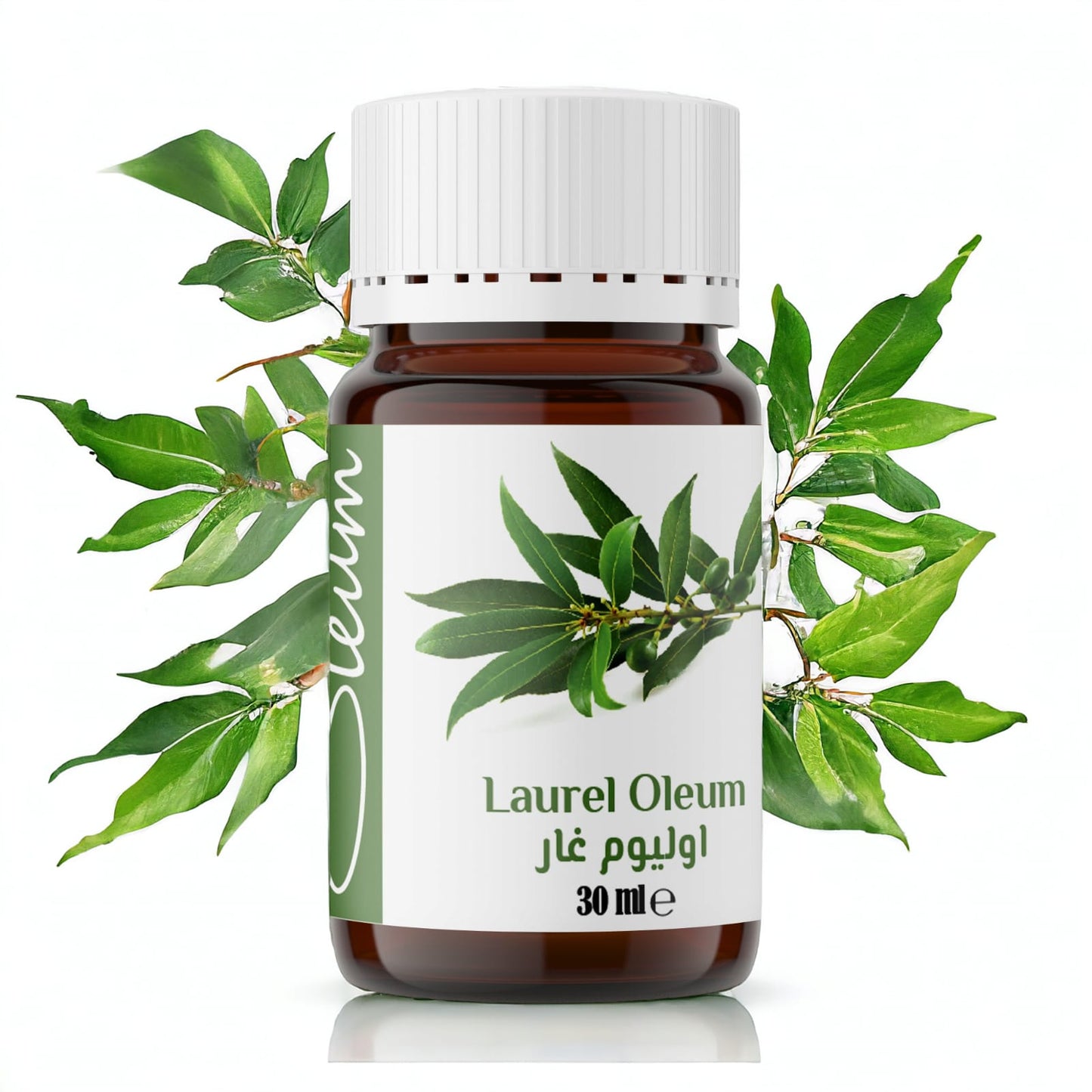 Oleum Laurel Oil 100% Pure- Steam Distilled from Bay Leaves - Rich in Antioxidants and Anti-Inflammatory Compounds