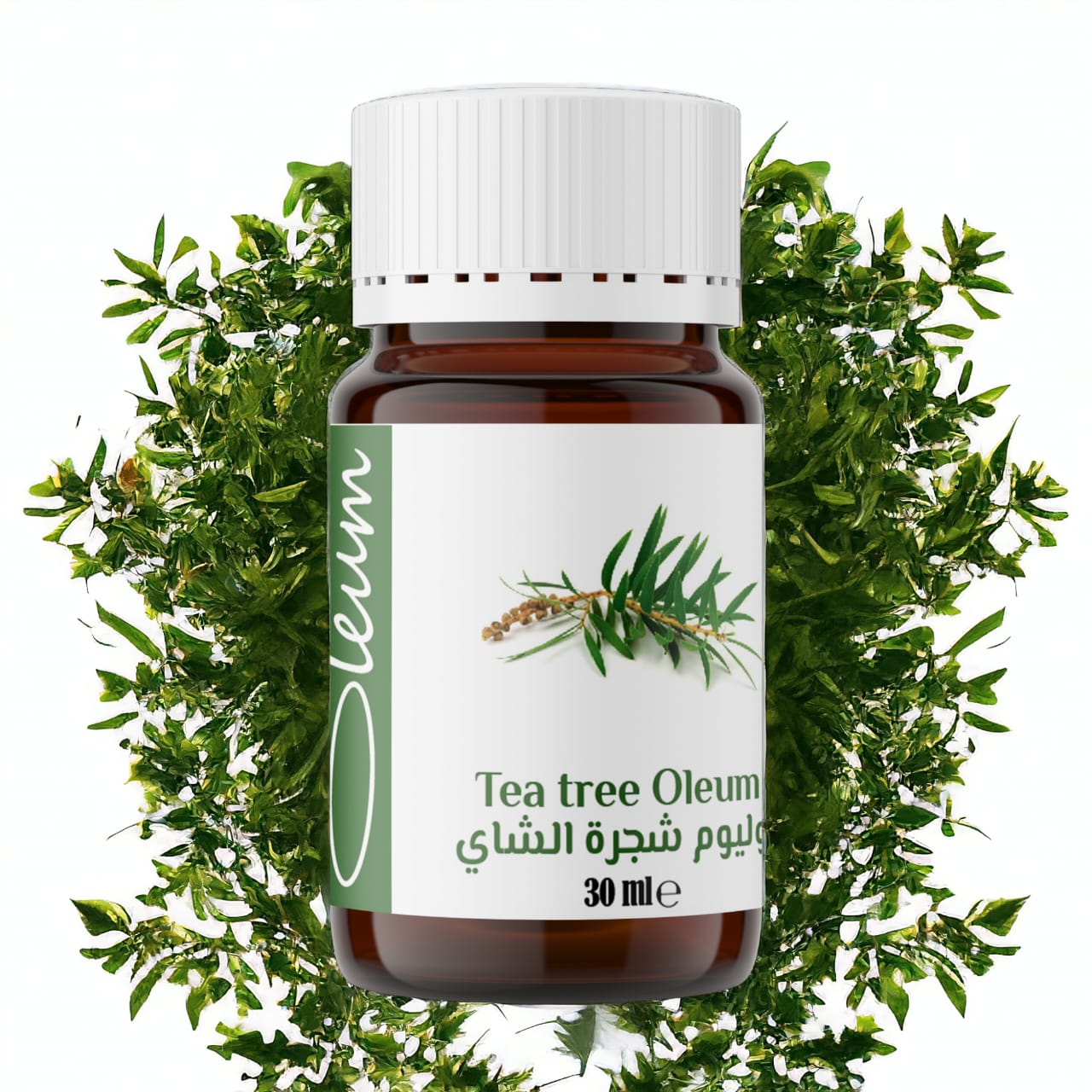 Oleum Tea Tree Oil -Pure, Natural and Unrefined for Enhanced Beauty and Skin Care